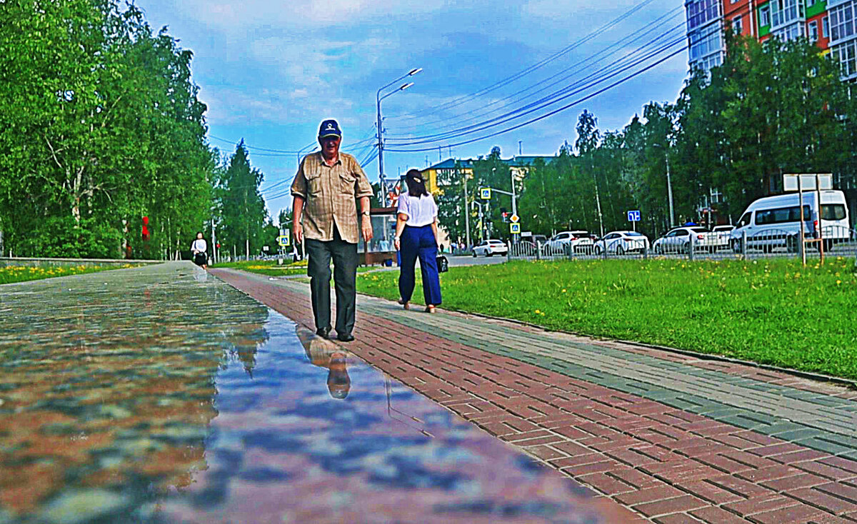 Утро июня...После дождя! - Владимир 