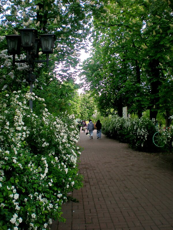 Мой родной город - Роман Савоцкий