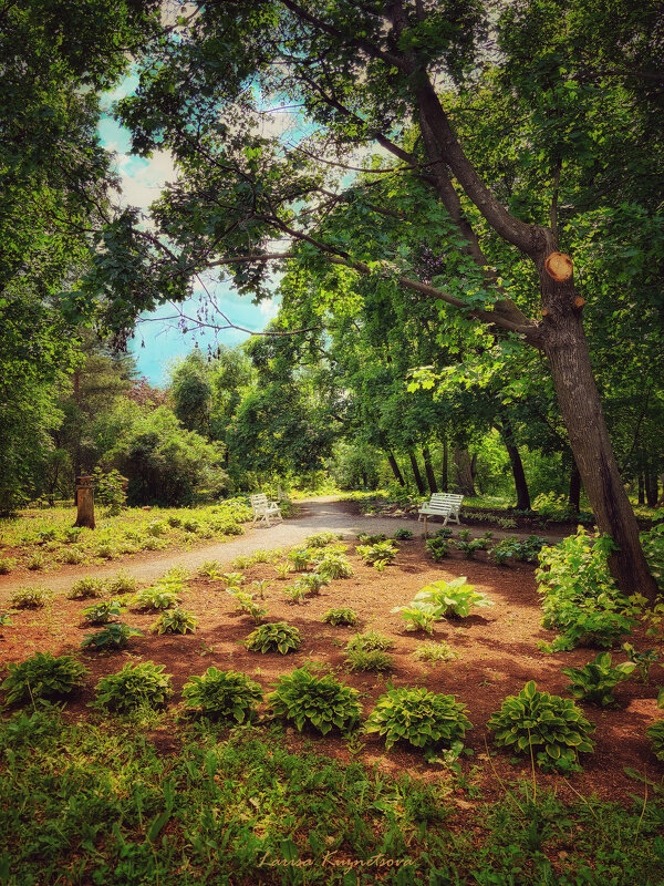 Скамейки - Larisa Kuznetsova