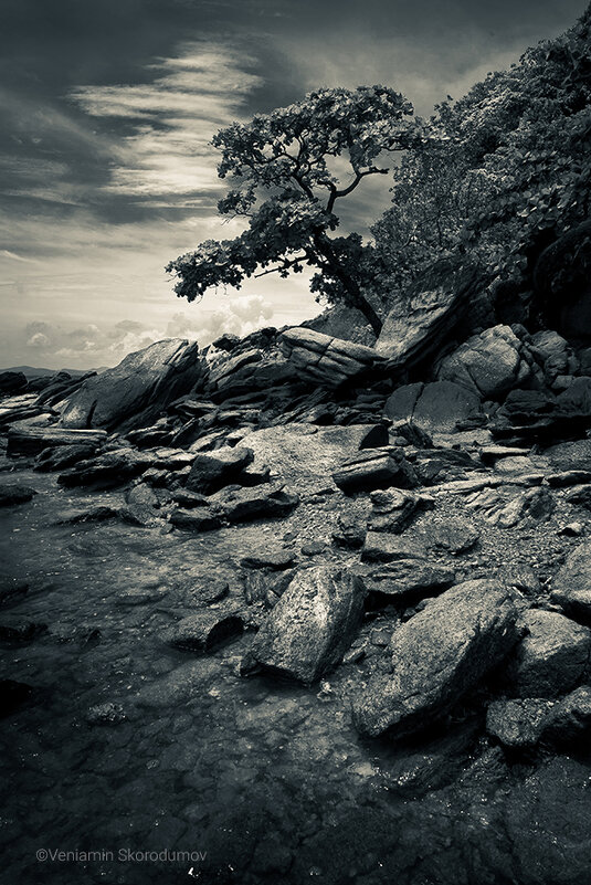 На берегу - Вениамин Скородумов На берегу - Вениамин Скородумов