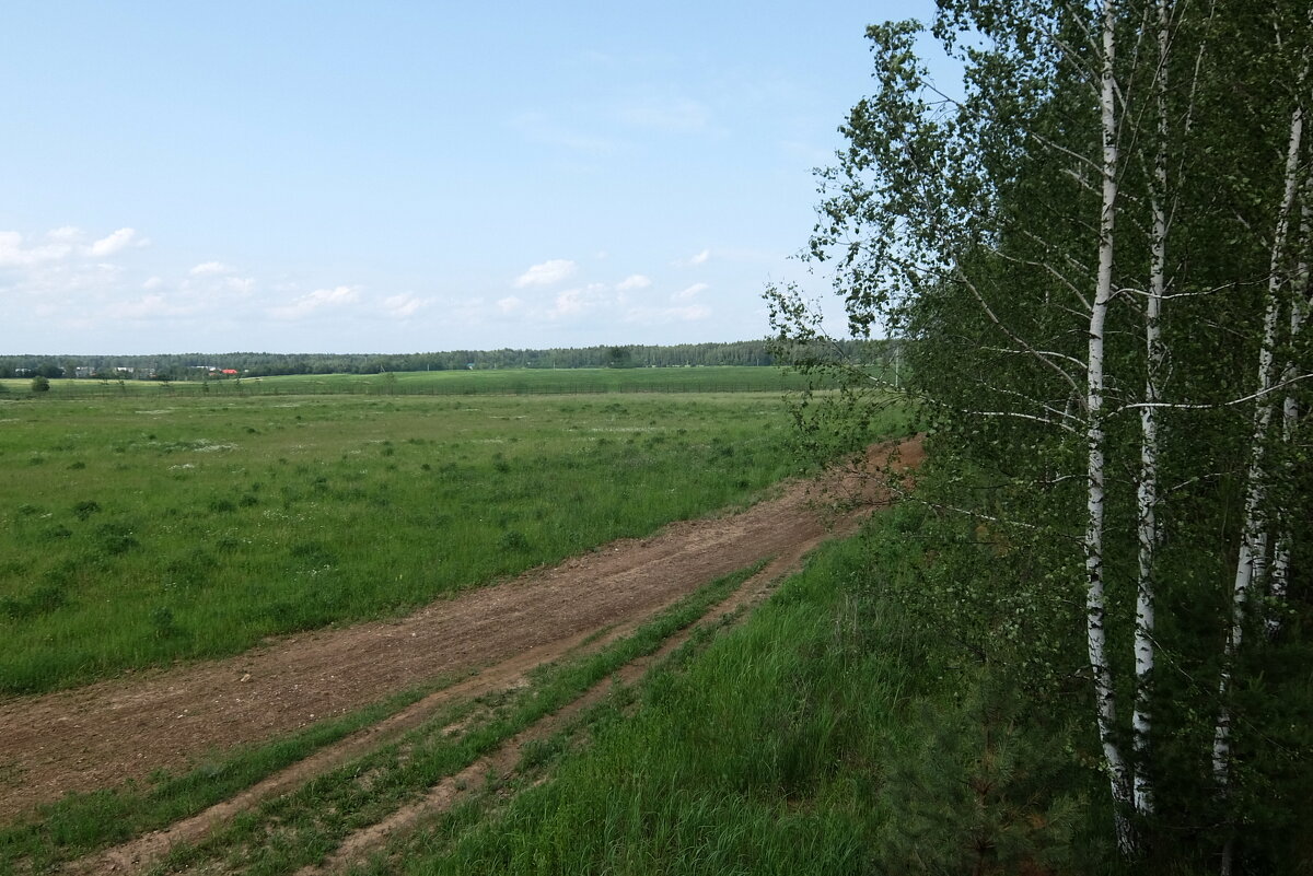 По проселочной дороге, вдаль от шумных городов, сами нас уносят ноги в царство поля и цветов. - Люба 