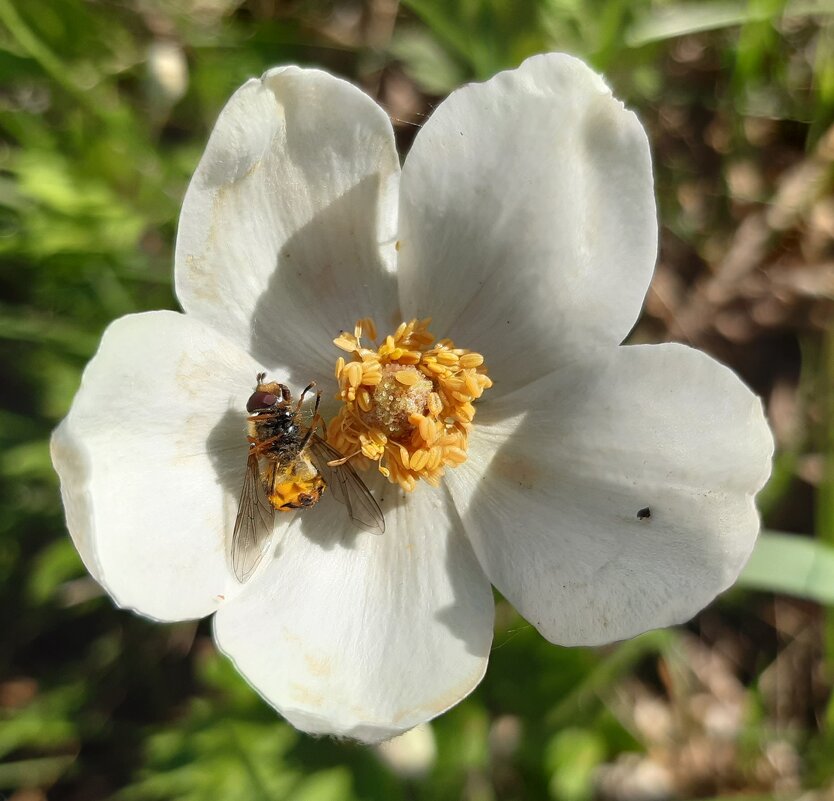 Вот и лето пришло - Галина Минчук