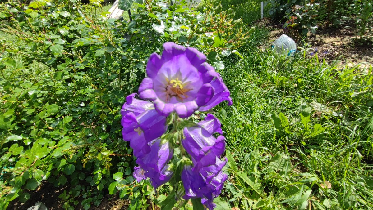 ,,, - Сергей Тимоновский