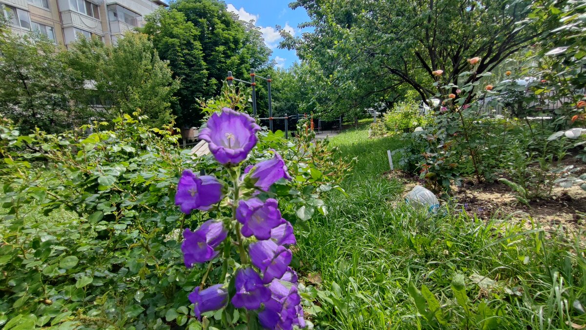 ,,, - Сергей Тимоновский