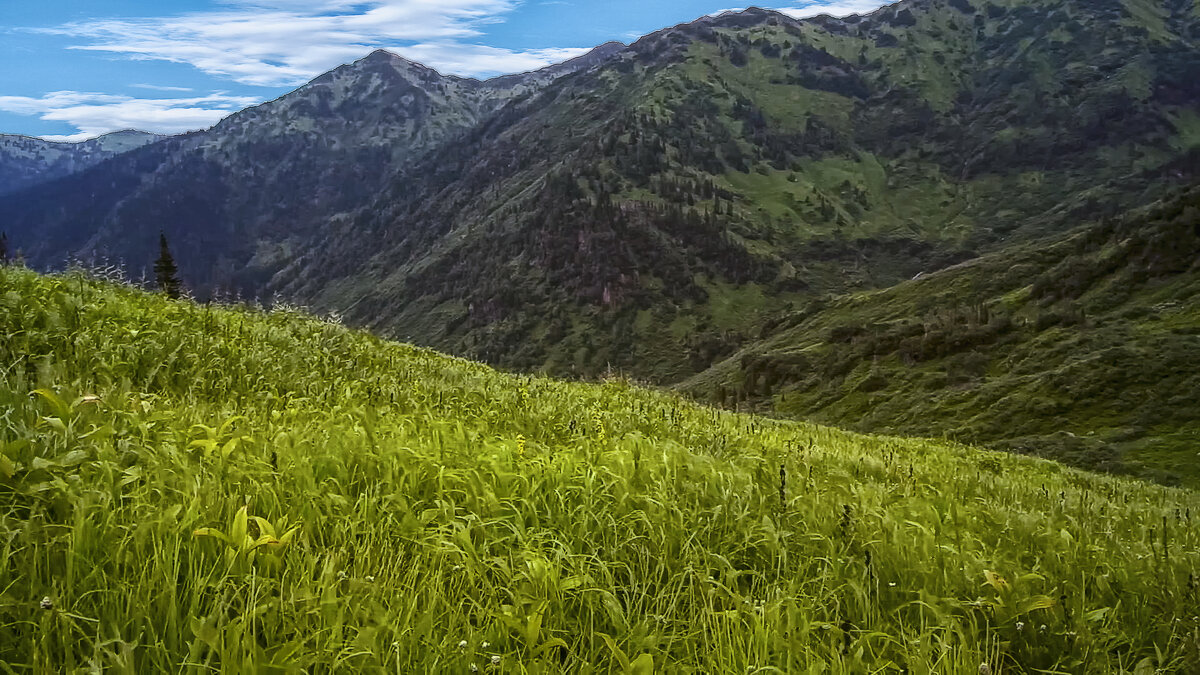 Забайкалье - Aleksey Afonin