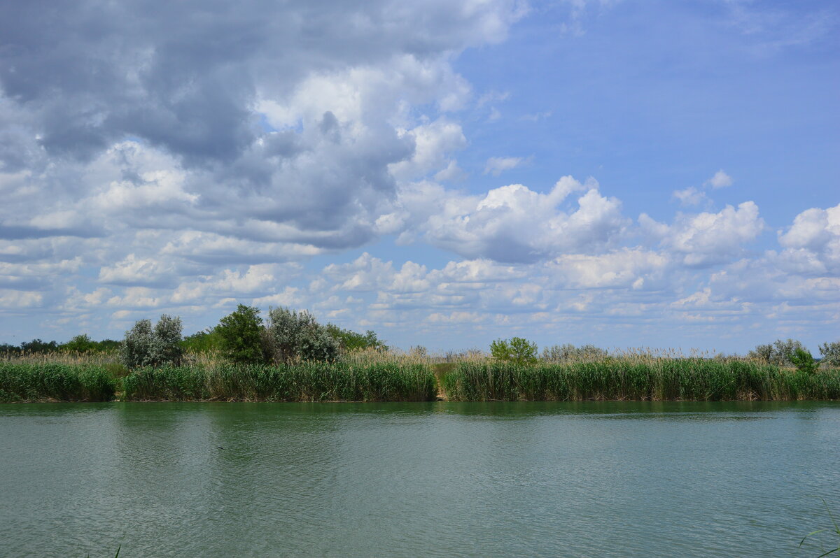 У реки. - Виктор У реки. - Виктор
