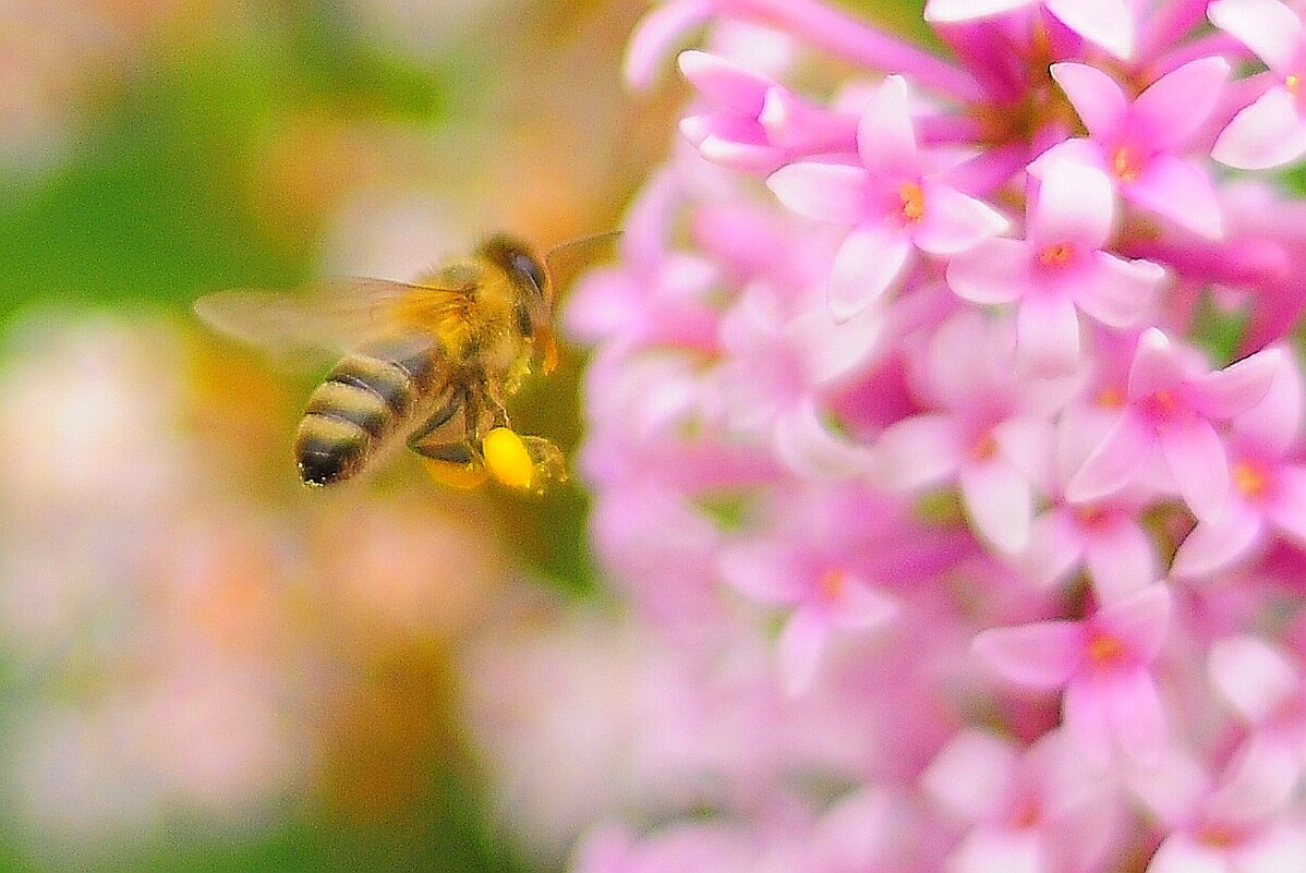 ... на работу... - Георгий Никонов ... на работу... - Георгий Никонов