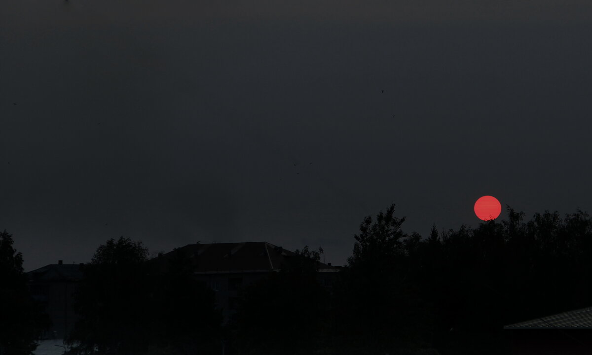 Весь день ни облачка..) - Елена Минина Весь день ни облачка..) - Елена Минина