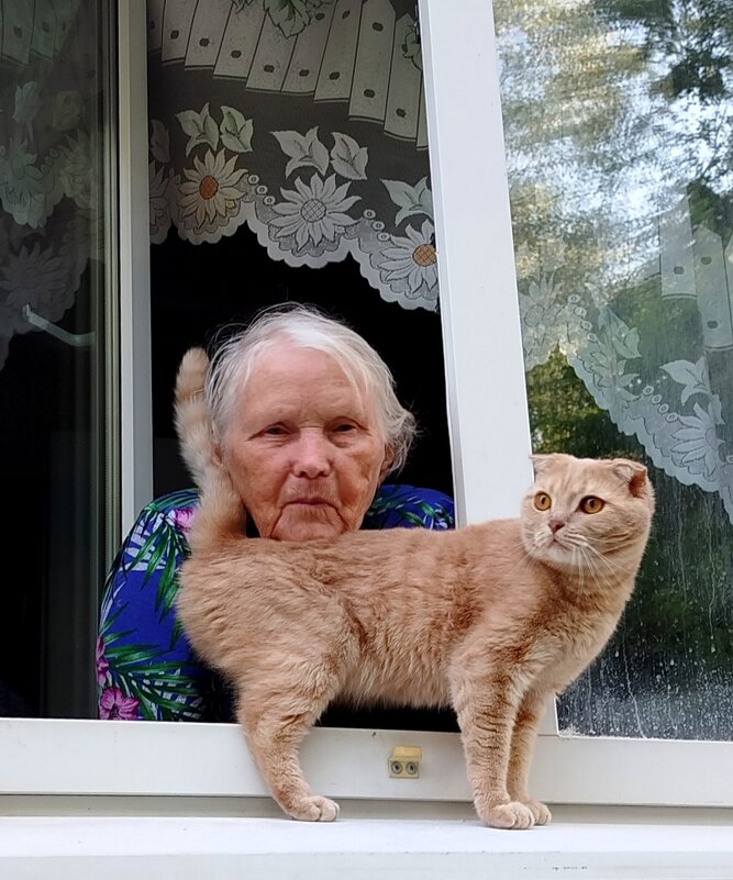 Бабулечка в окне - светлана льдокова