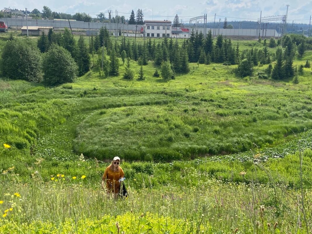 травы-травы - Ольга Конькова