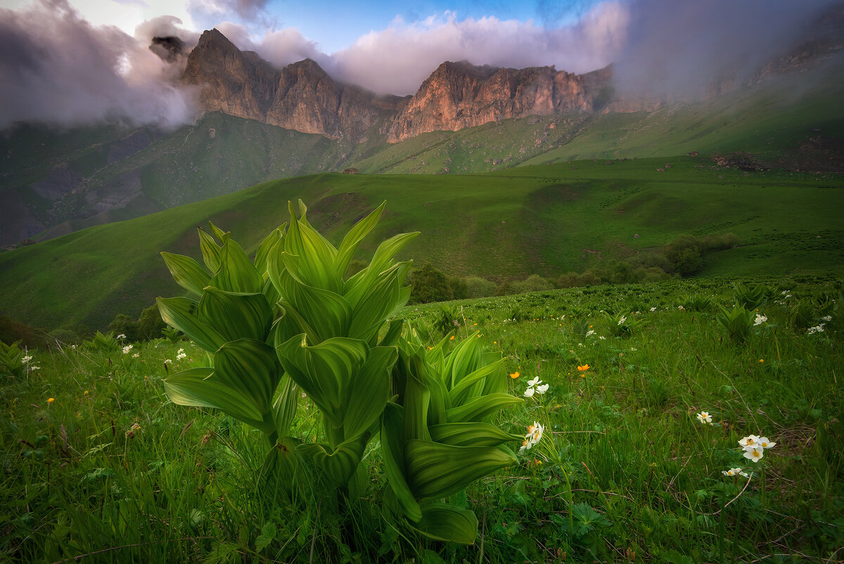 перевал Актопрак - Николай Колобов перевал Актопрак - Николай Колобов
