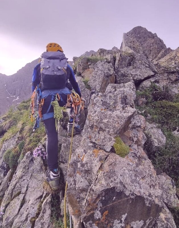 Путь к вершине - Георгиевич Путь к вершине - Георгиевич