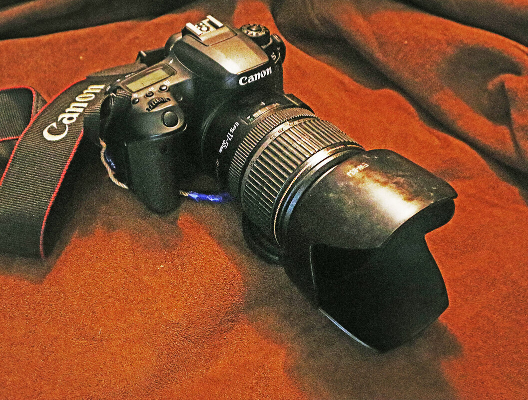 В лесных походах она первая! - Владимир 