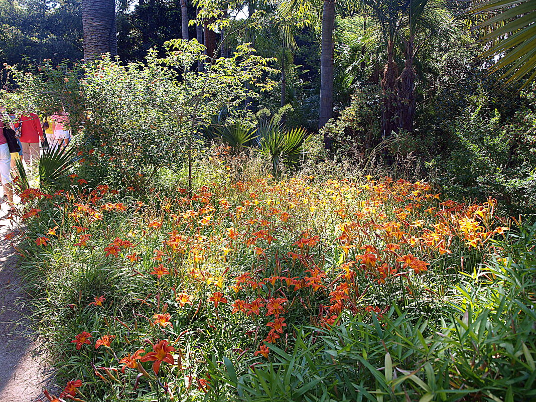Барселона. - Владимир Драгунский