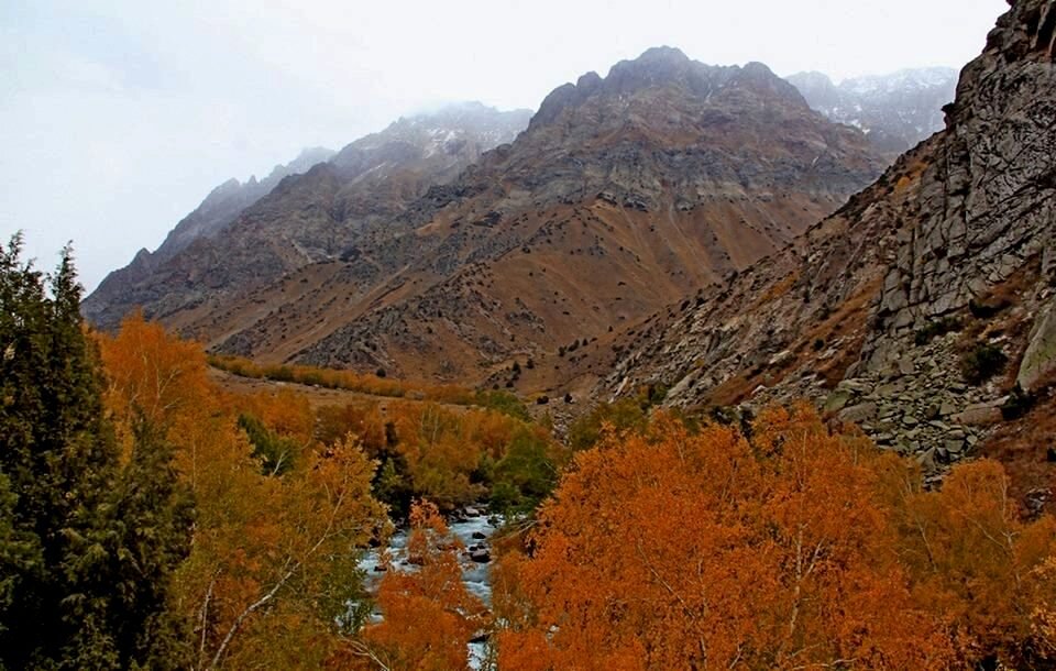 ПО ГОРАМ, осень. - Виктор Осипчук