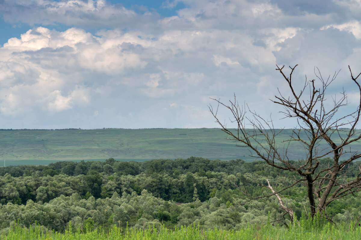 Жаркий летний день - Игорь Сикорский