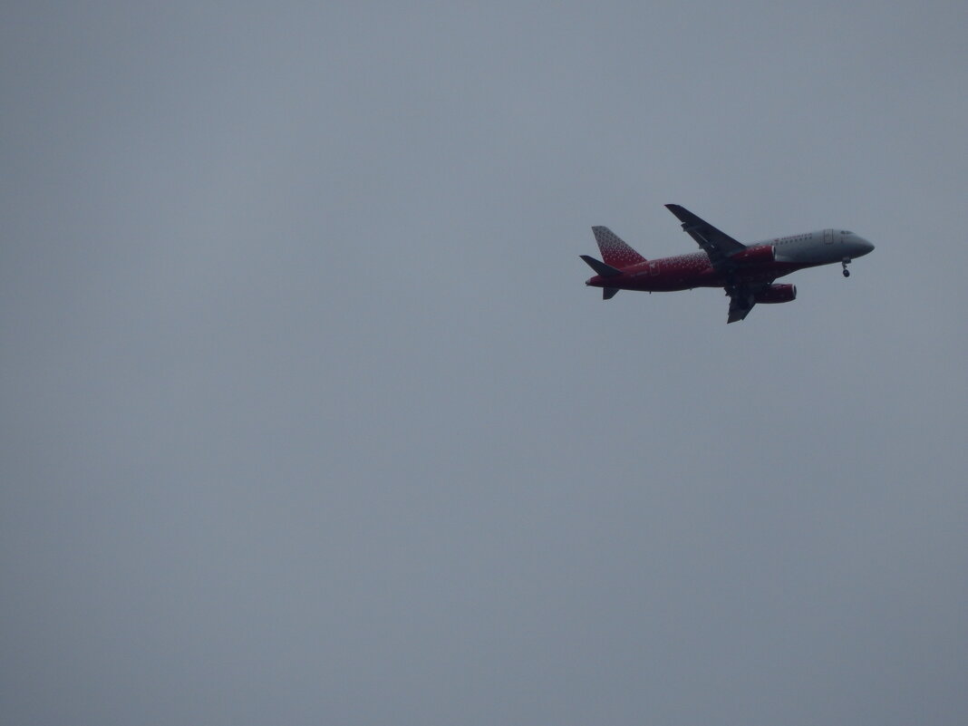 Небо, самолет - Екатерина Панова