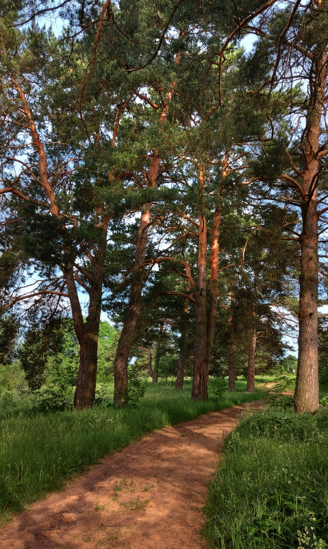 *** - Владимир Безбородов