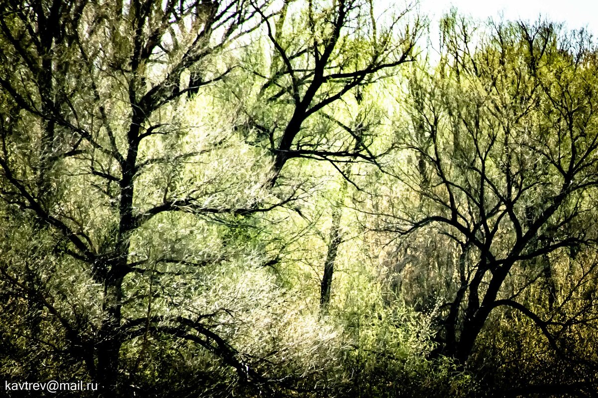 ПОЛОВОДЬЕ - HART BAD