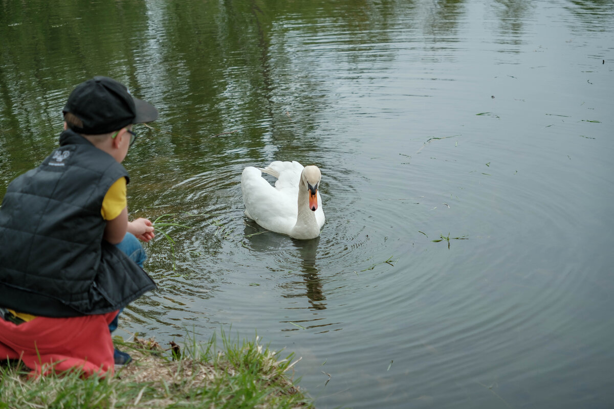 В Митинском парке - Олег Дорошенко