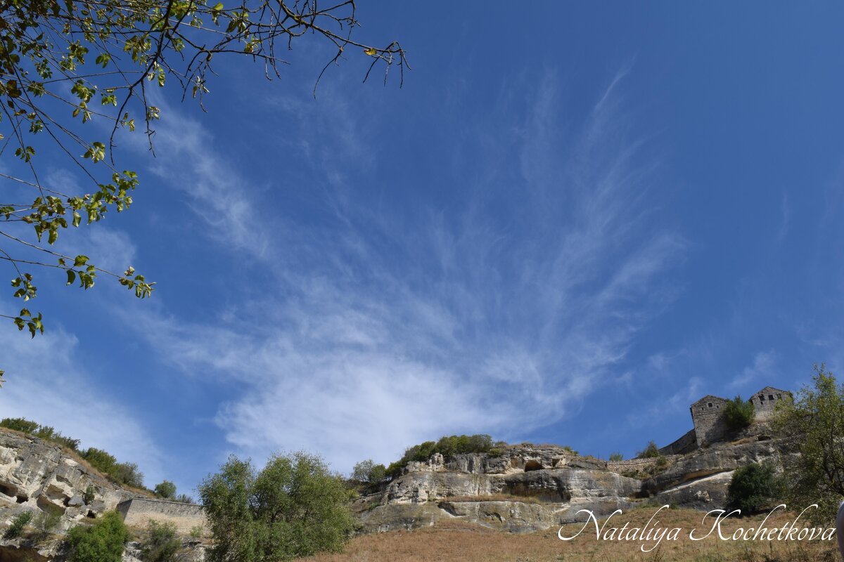 Природа Крыма - Amazing Cosmea Природа Крыма - Amazing Cosmea