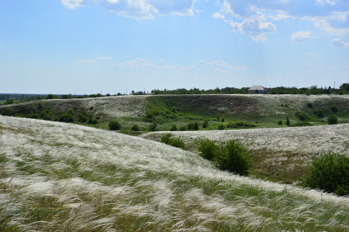 Местные виды. - Виктор Местные виды. - Виктор
