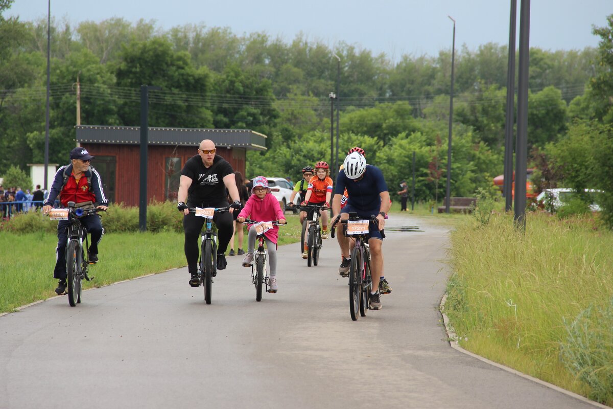 Лето. - Венера Чуйкова Лето. - Венера Чуйкова