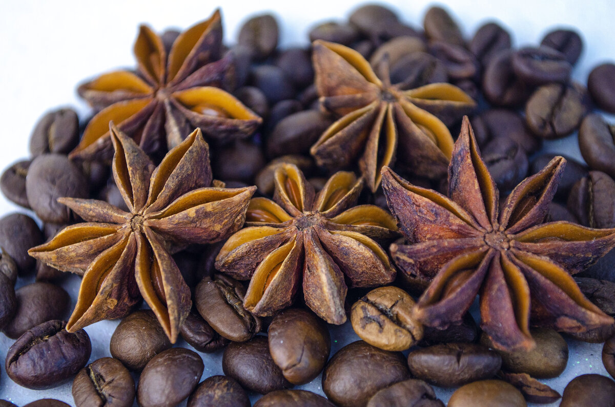 Пряности - Lyubov Busova Пряности - Lyubov Busova