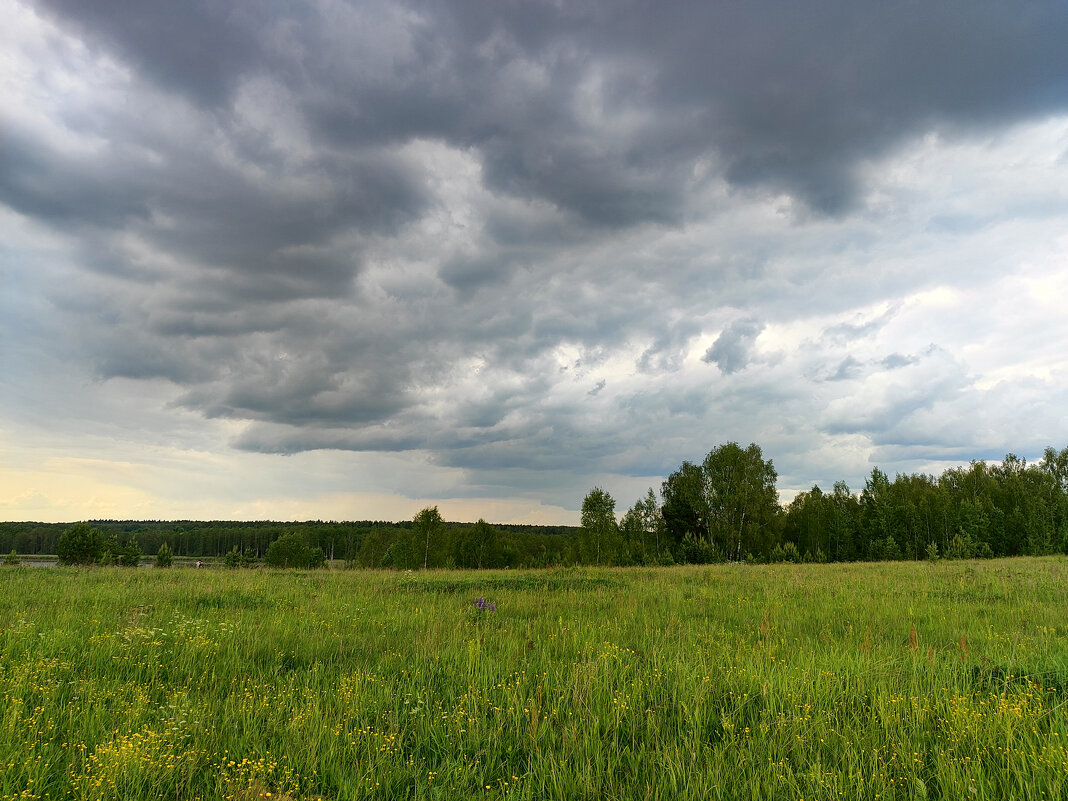 Каринское поле - Денис Бочкарёв