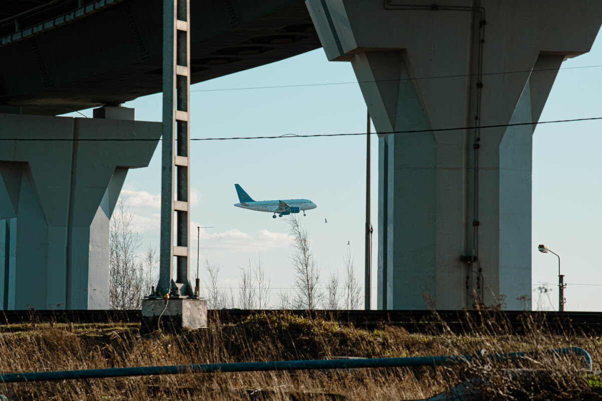 Шушары - Лана Пипякина