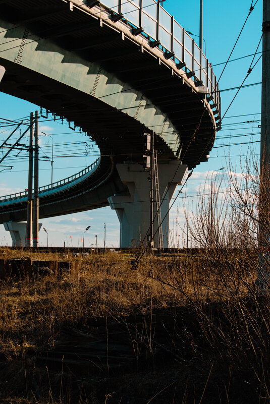 Шушары - Лана Пипякина