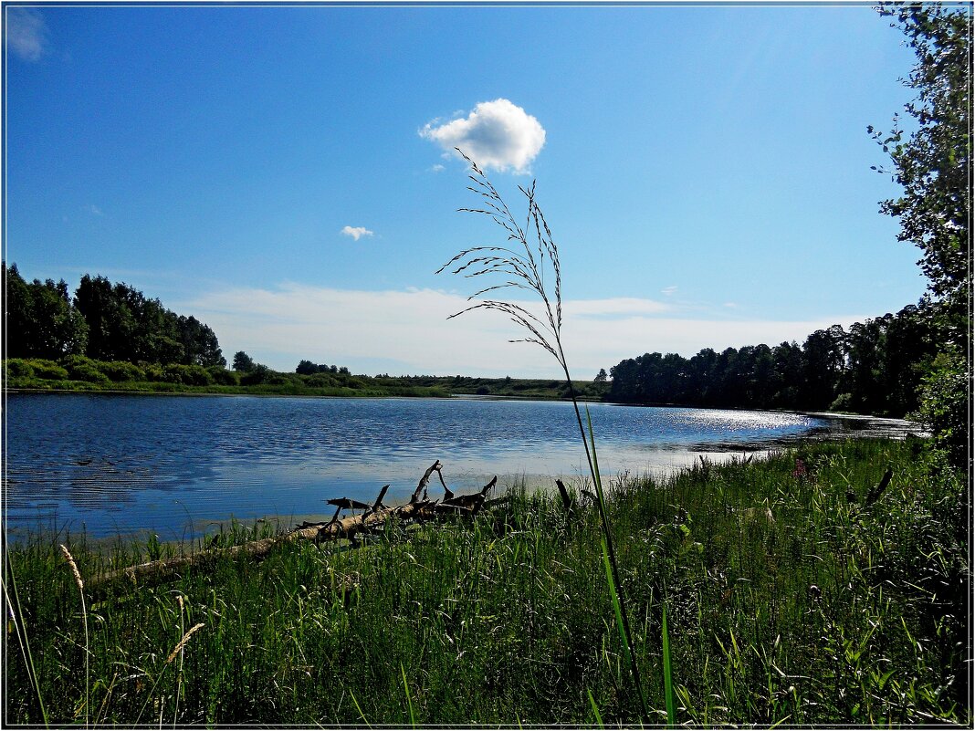 Облако над озером - Сергей Швечков