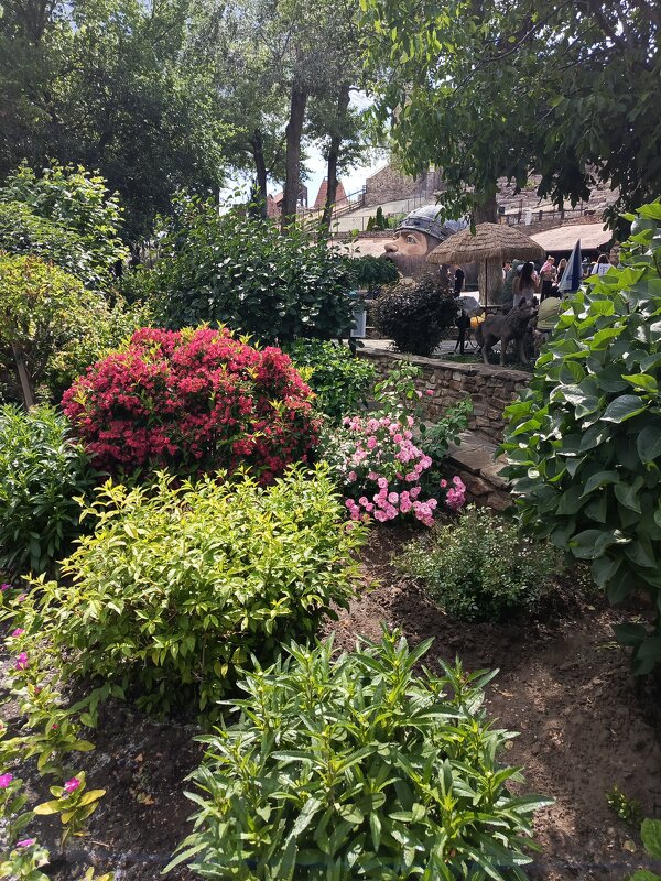 Парк Лога - Татьяна Пальчикова