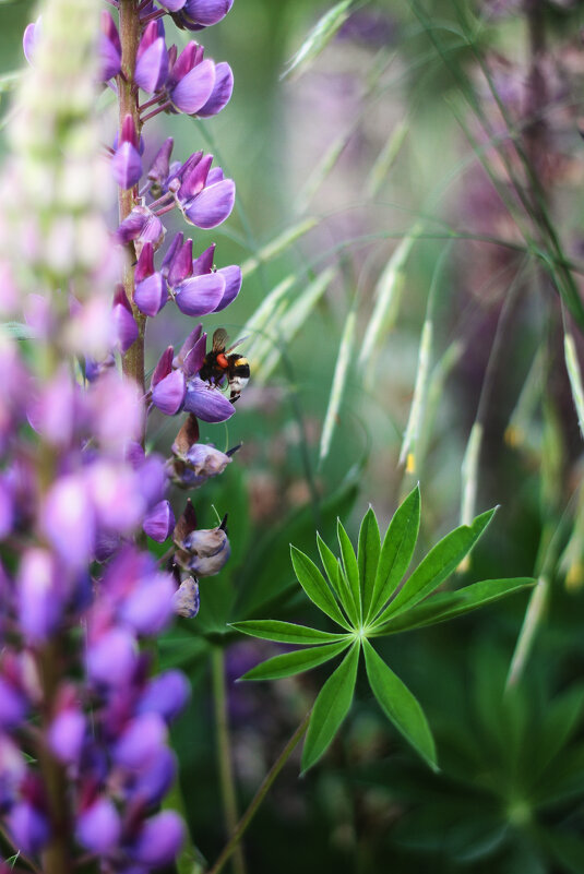 ... - Василий Гаинский ... - Василий Гаинский