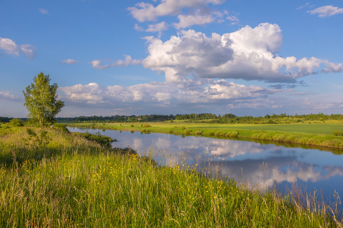 **** - Елизавета .