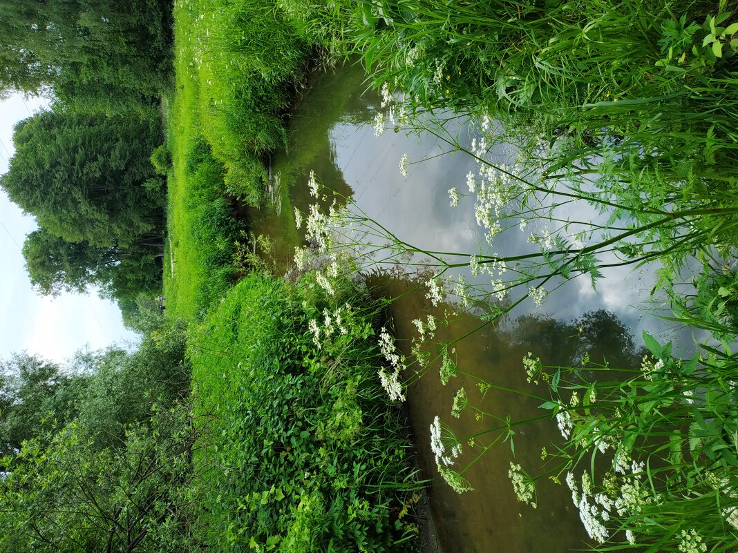 С Днем России! - Моя Россия. - Андрей Лукьянов С Днем России! - Моя Россия. - Андрей Лукьянов