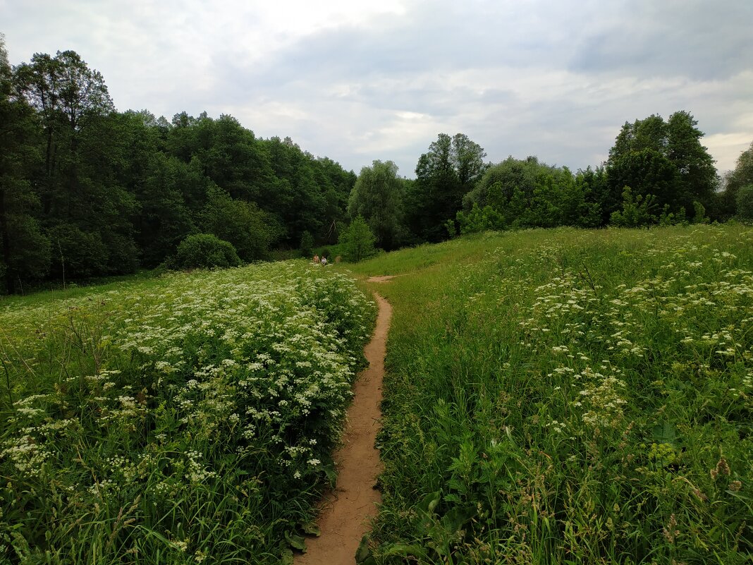 С Днем России! - Моя Россия. - Андрей Лукьянов