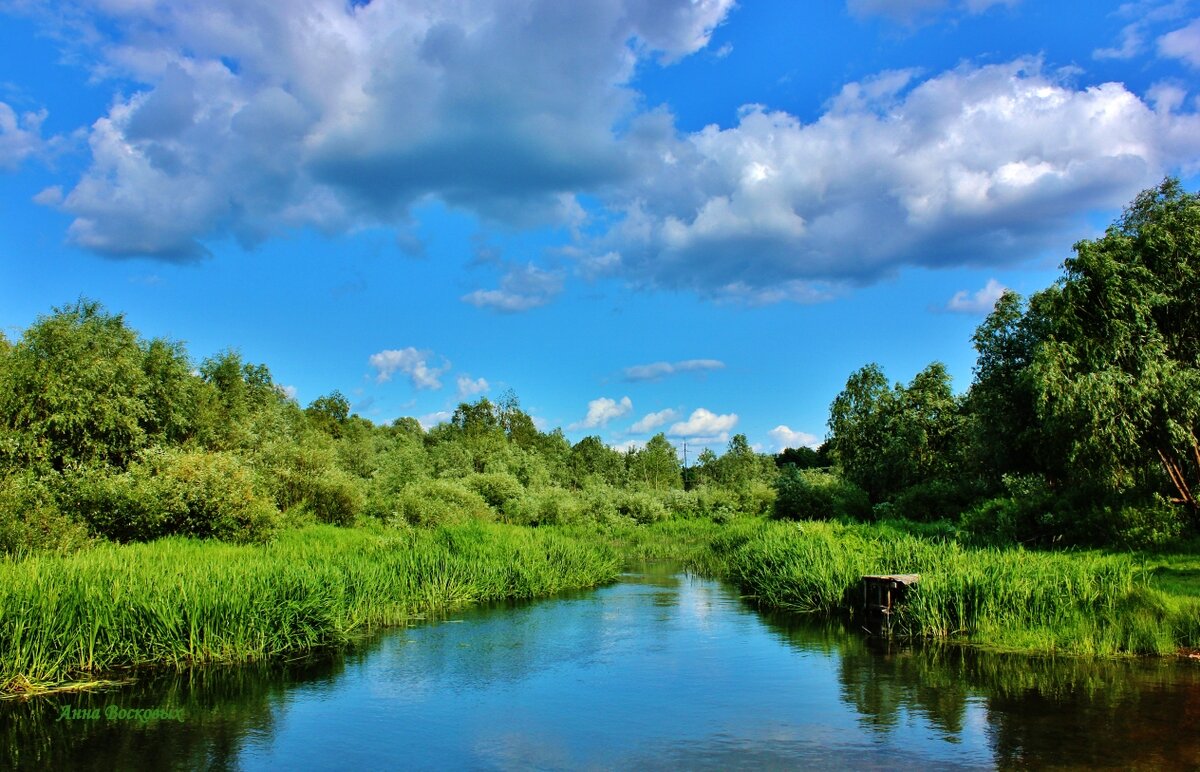 Родниковая речка Свинцовка. - Восковых Анна Васильевна 