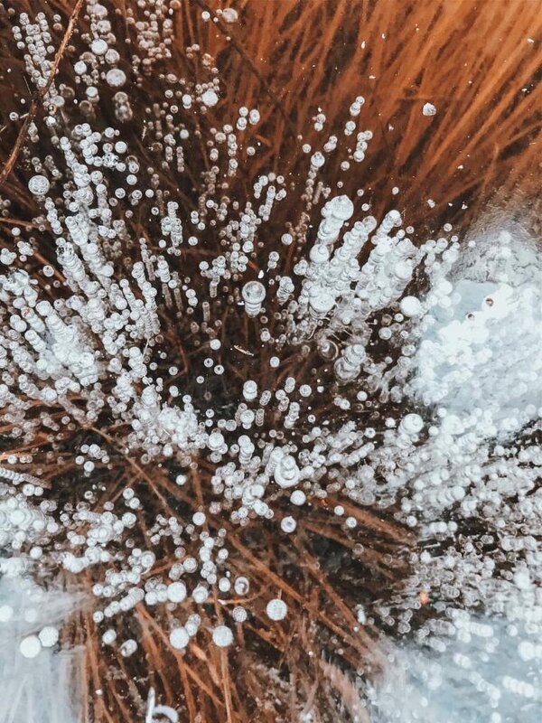 Пузырьки. - Михаил Свиденцов