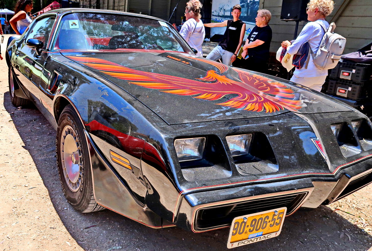 ПОНТИАК FIREBIRD - Надя Кушнир ПОНТИАК FIREBIRD - Надя Кушнир