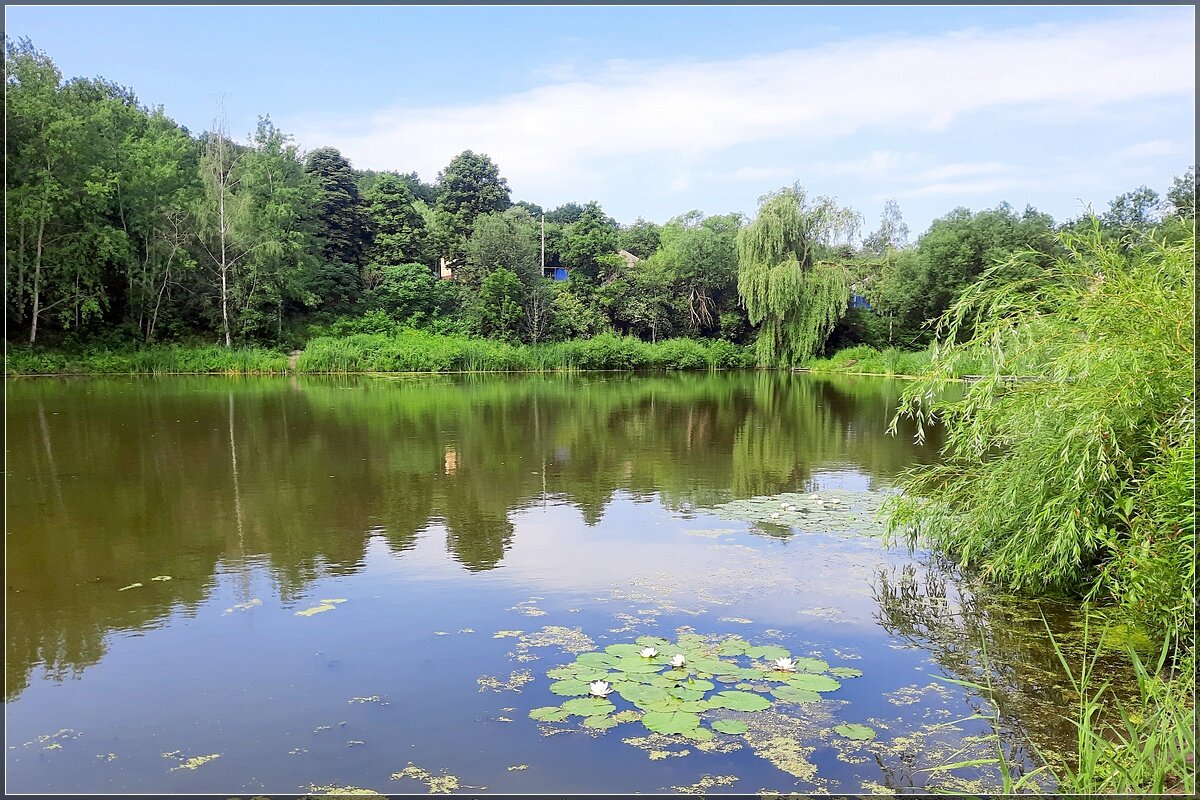 Ставок в деревне - Сеня Белгородский Ставок в деревне - Сеня Белгородский