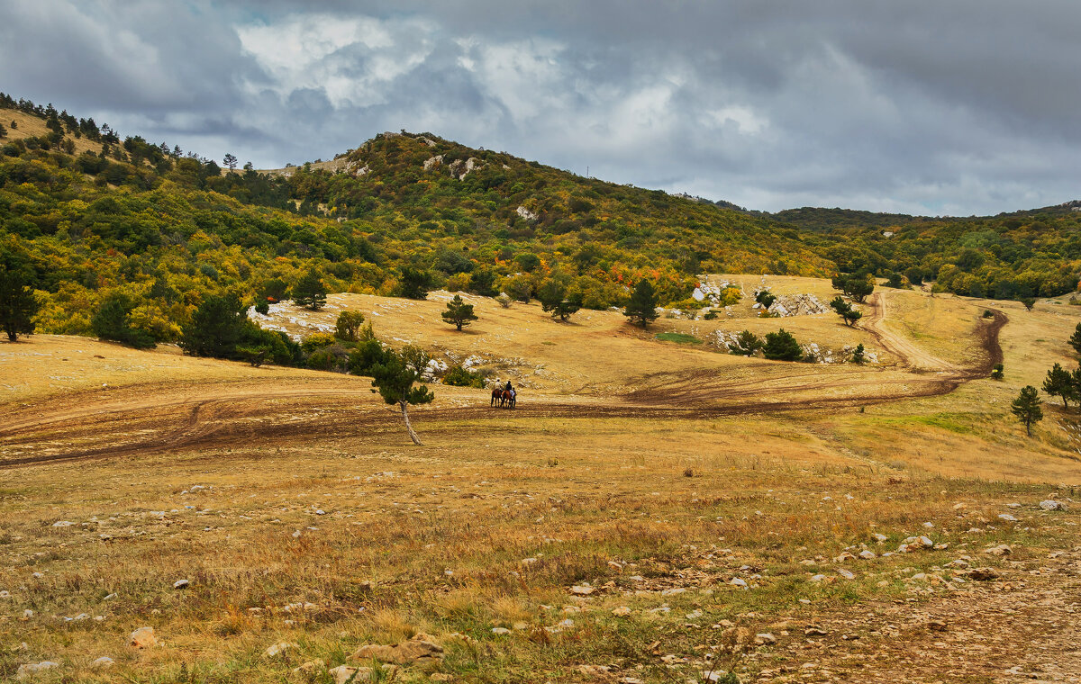 *** - Сергей Лысенко