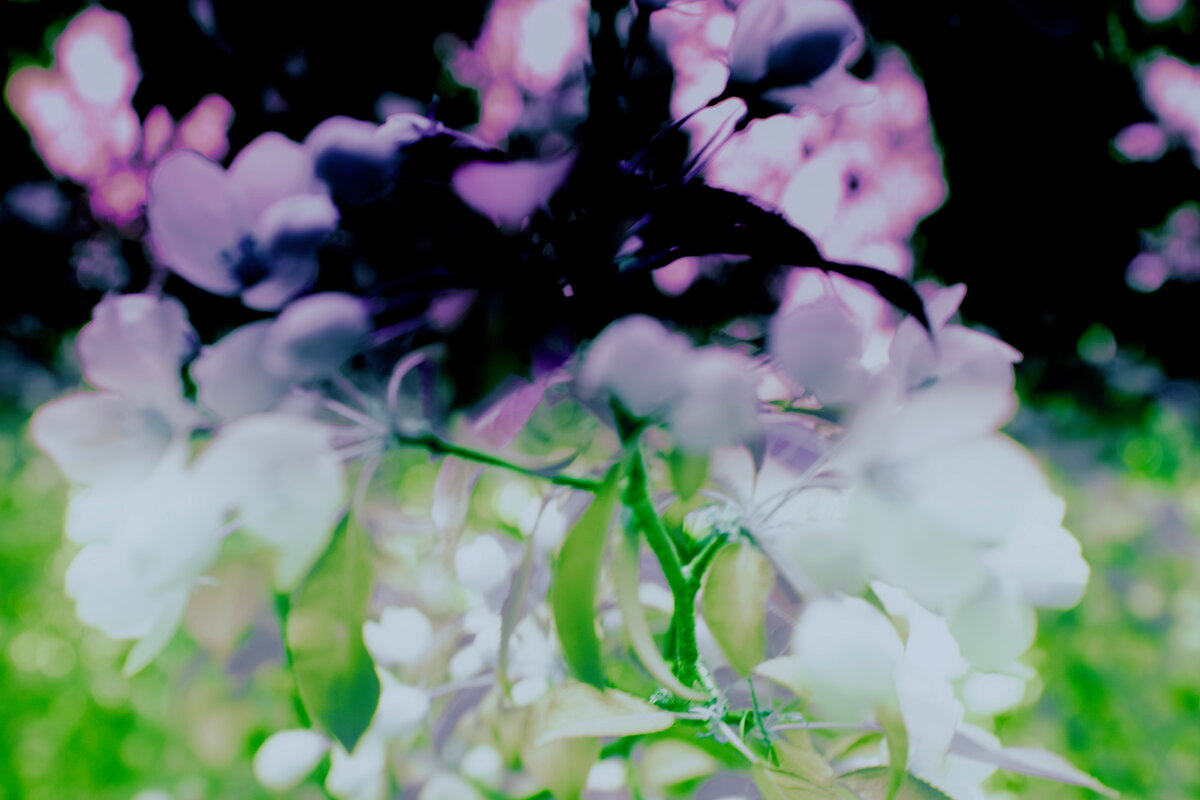 Назва. отсу. - Денис Безногов