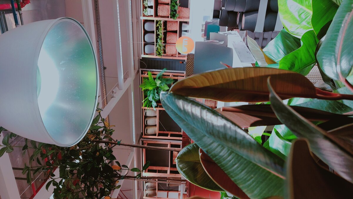 13  ОПЕН (118) - OPEN WAYS ALL