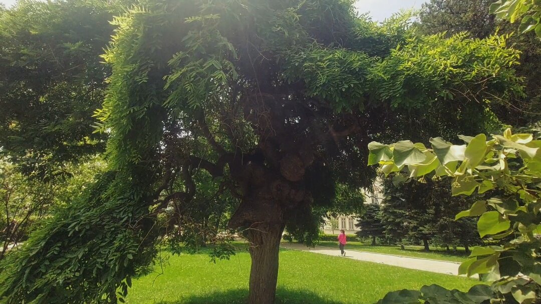 ЛЕ БО 2 (14) - CLOSE WAYS ALL