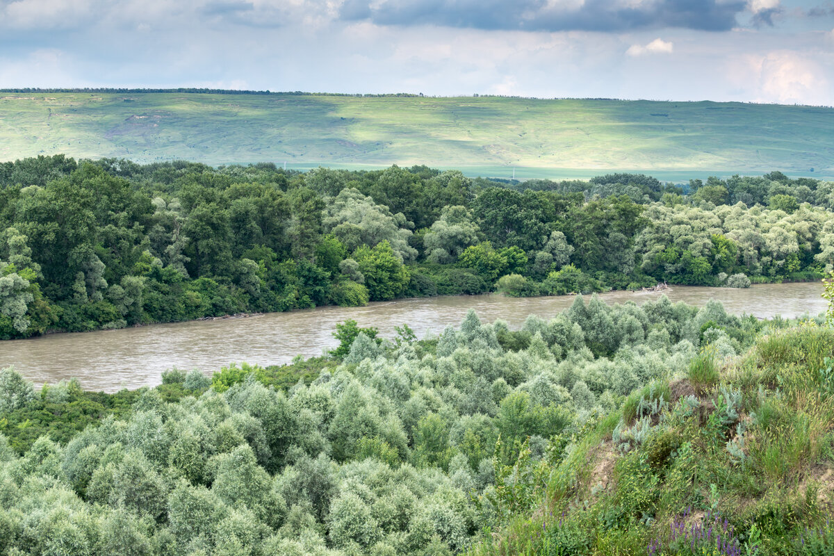 Краснодарский край - Игорь Сикорский
