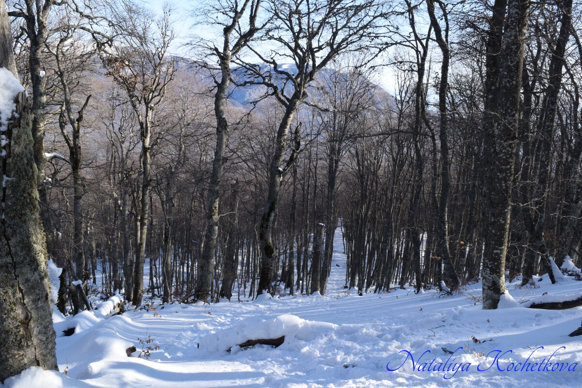 Природа Крыма - Amazing Cosmea Природа Крыма - Amazing Cosmea