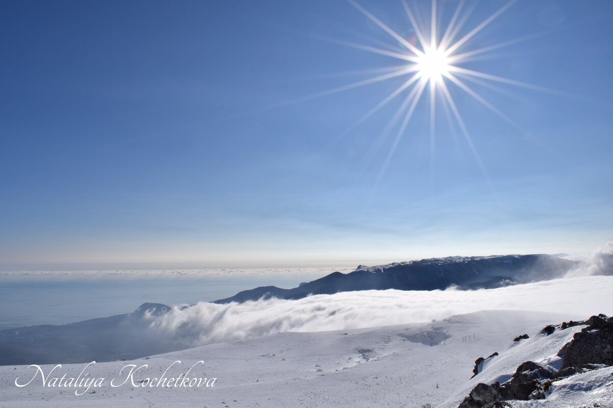 Природа Крыма - Amazing Cosmea Природа Крыма - Amazing Cosmea