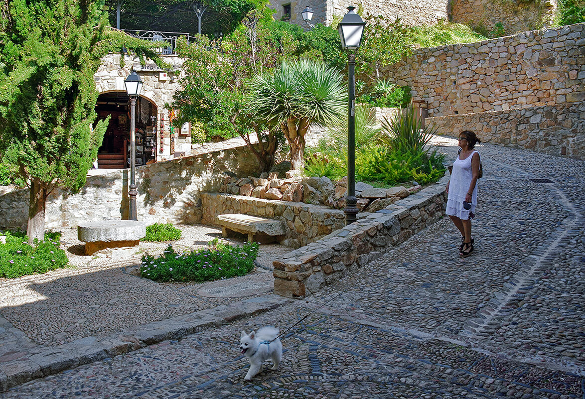 Дама с собачкой - Alexandеr P