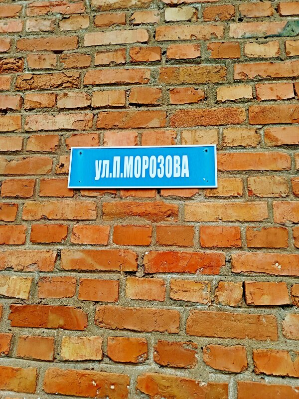 Про бедного Павлика  замолвите слово.. - Vladimir Semenchukov